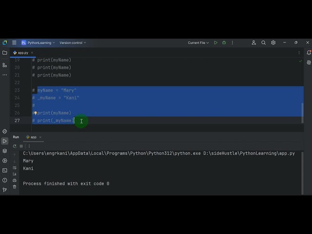 Variables in Python Programming