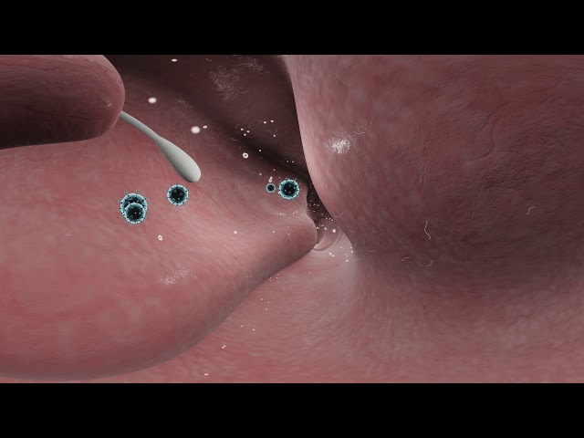 Mission Pathogen: Luminex Virtual Reality Experience - Respiratory Infection