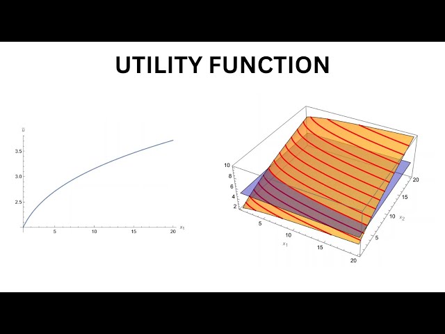 The Utility Function | Microeconomics