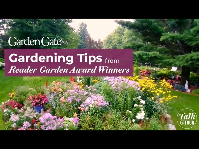 Pest Solutions, Time-Saving Hacks, and Design Secrets | Favorite Tips from Top Gardeners
