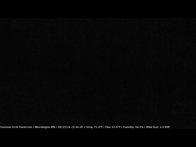 Overlook Circle Feedercam Live Stream