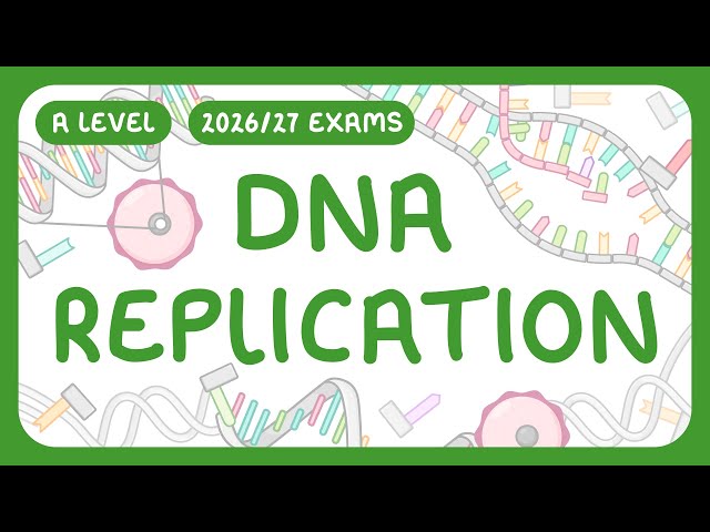 A-Level Biology - DNA Replication | 3 prime and 5 prime ends (2026/27 exams)