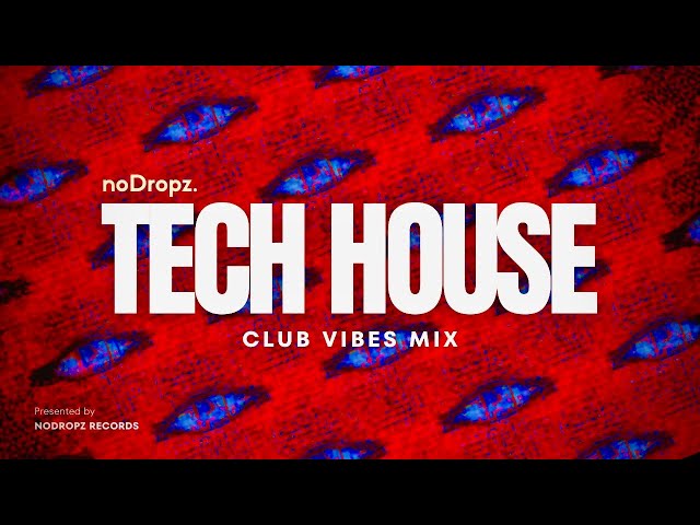 🔥Tech House Club Vibes in 4K by noDropz | HIGH FREQUENCY | 12