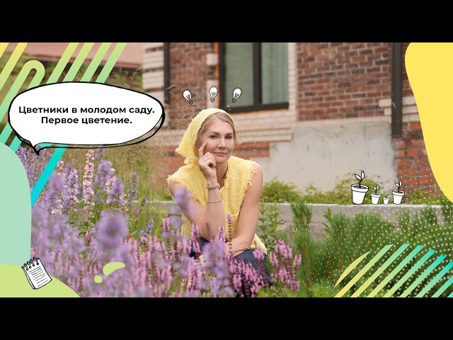 Flowerbeds in the Garden | How to Create a Flowerbed? | Sage | Catmint | Purple Loosestrife | A F...