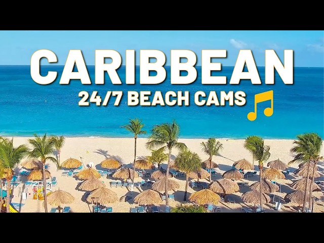 ☀️ Live Caribbean beach cams🎵 Relaxing Lounge Music 24/7