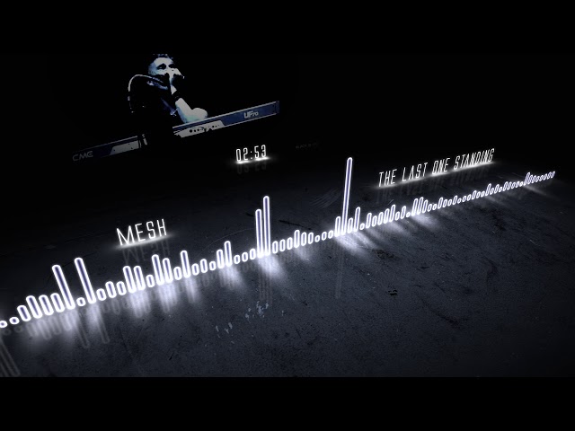 Mesh - The Last One Standing
