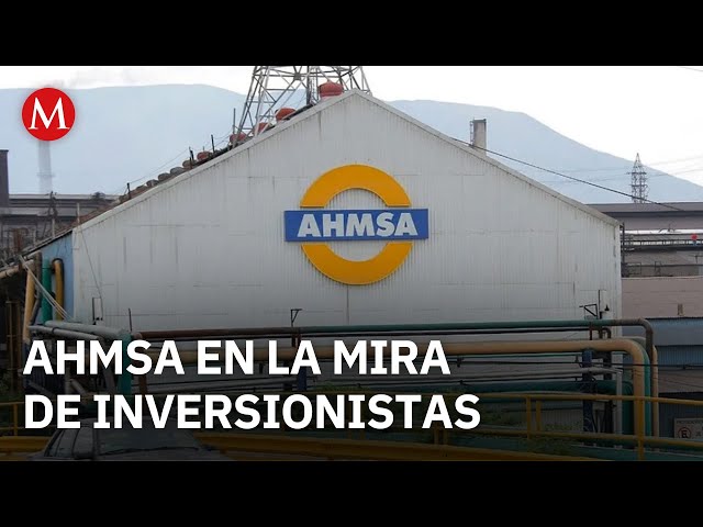 Investors interested in purchasing AHMSA visit the steel mill in Monclova.