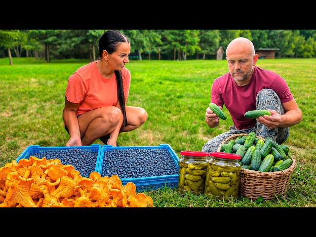 You Will Never Starve In This Place. Full Self-Sufficiency & Winter Prep 🌲 ASMR