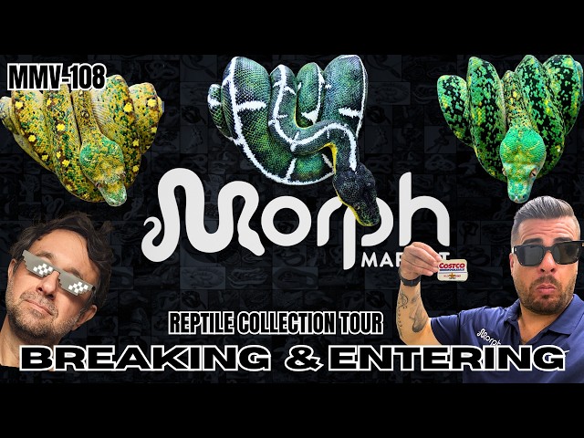 Breaking And Entering Into Marcial Mendez's INSANE Reptile Collection!