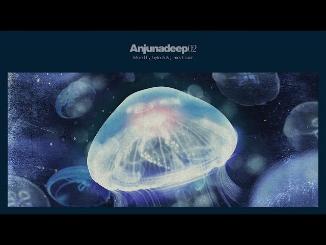 Jaytech - Anjunadeep 02 CD2 (Continuous Mix)