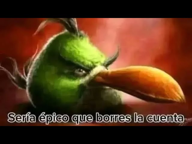 SHITPOSTING COMPILATION V3