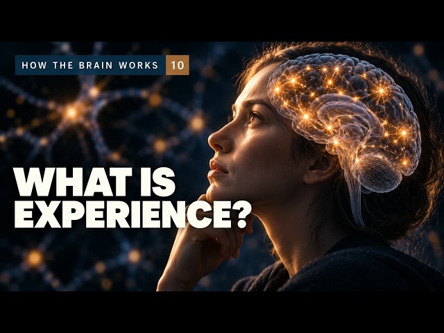 How the Brain Works | Episode 10: Conscious Experience