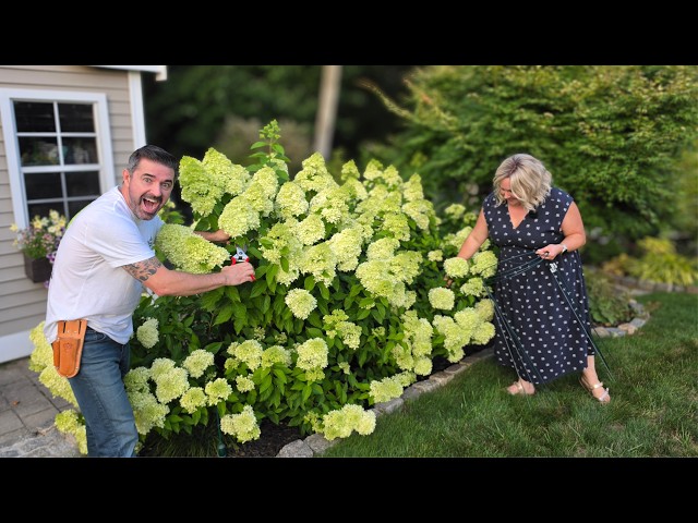 A Difference of Opinion in the Garden