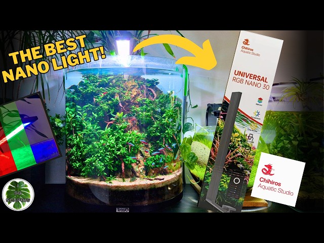 Новый Chihiros Universal RGB 30 Nano – полный обзор, настройка и управление через приложение.