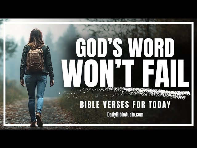 When God Speaks, It Cannot Fail (HIS WORD NEVER RETURNS VOID) | Today’s Scripture
