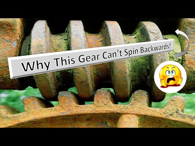 The Secret Behind Worm Gears: Why They Don’t Spin Backwards! #mechanical principles | #deepdive