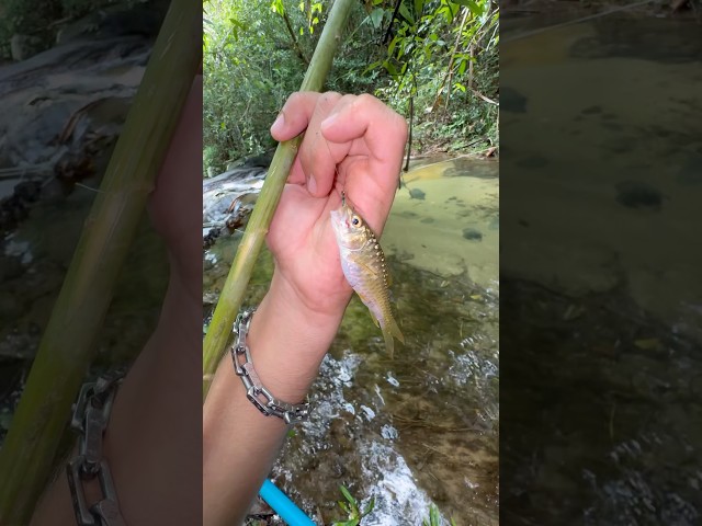 Making A Primitive Fishing Pole