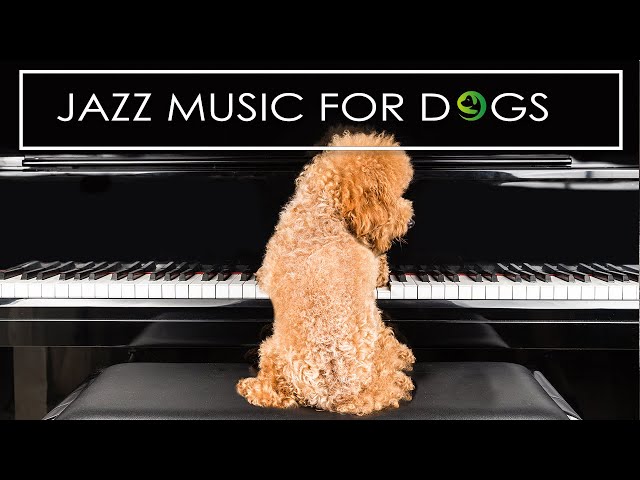 Jazz Music For Dogs - Relaxing Dog Music To Calm Anxiety Vol 2