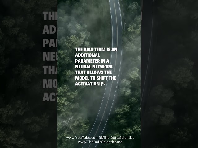 What is BIAS Term in Neural Network #python #shorts @thedatascientist_me