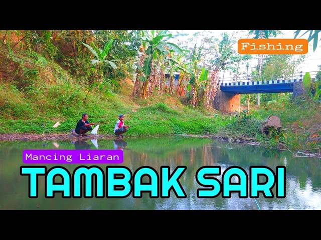Wild Fishing in Tambaksari / Wild Fishing in Malang / Fishing Video