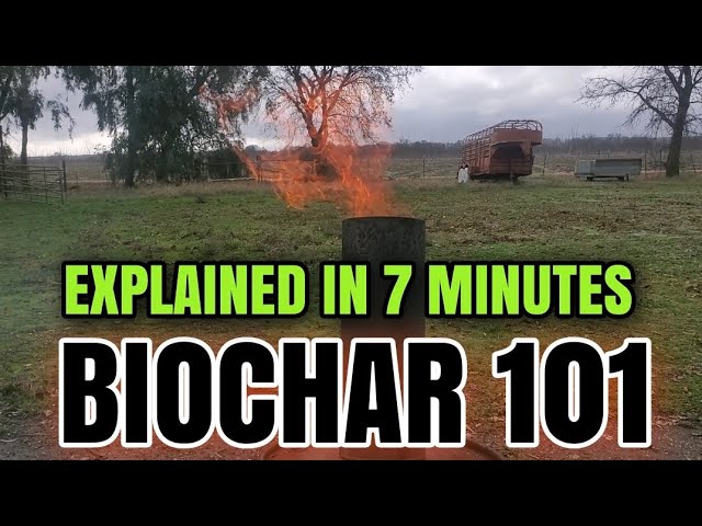 EVERYTHING YOU ever WANTED to KNOW about BIOCHAR 🔥