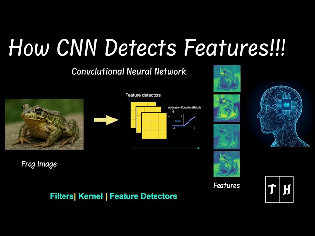 Feature Detectors in Convolutional Neural Networks Explained Visually | CNN Filters and Feature Maps