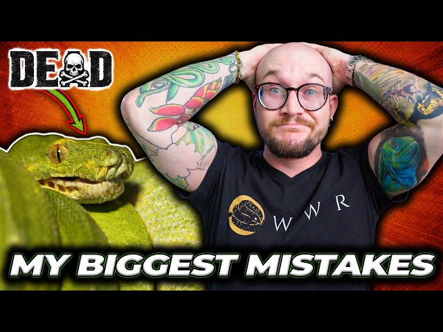 The Biggest Reptile Mistake I Ever Made 
