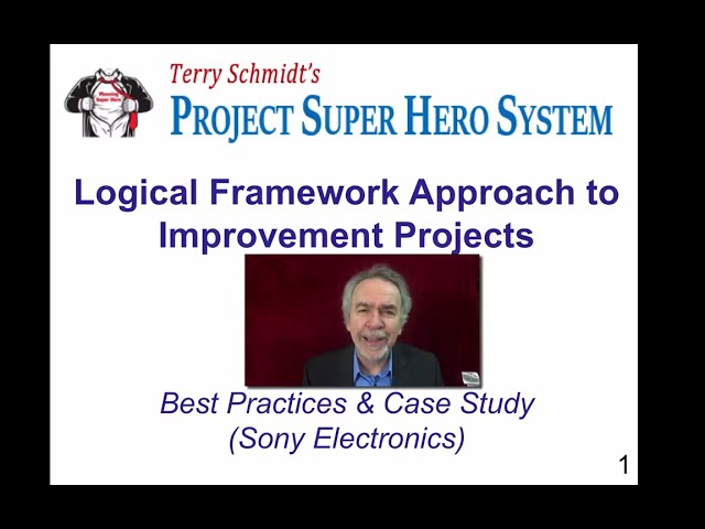 Unlocking Process Excellence with the Logical Framework Approach: A Sony Case Study
