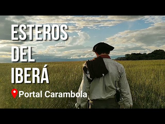 ÉSTO SE QUEMÓ 🔥😢 Esteros del Iberá, Corrientes, Argentina. Viajes en moto 🛵➰🌎