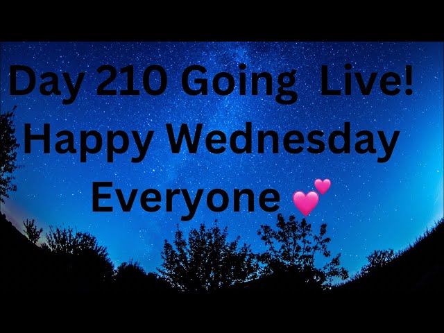 Day 210 Of Being A Consistent Content Creator!