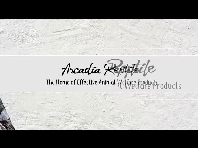 Arcadia Reptile Deep Heat Projector