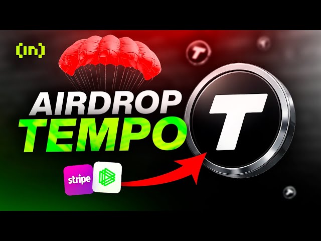 AIRDROP TEMPO 🪂 $500M 💰 (TESTNET TUTORIAL) 🔥
