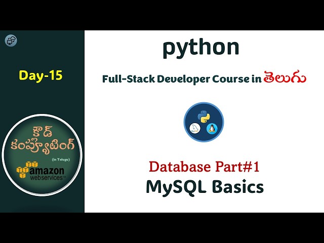 Day15 | Python full-stack developer | MySQL Part1 | CCIT