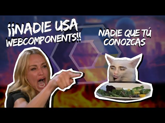 Nobody uses web components!