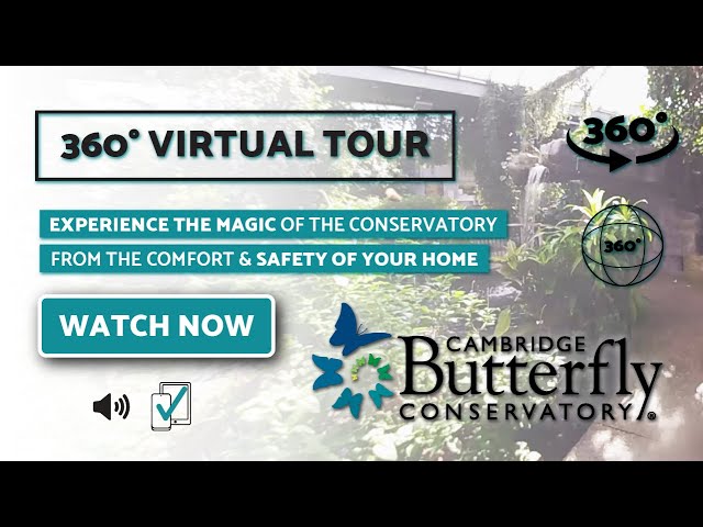 360 Degree Virtual Tour of Cambridge Butterfly Conservatory