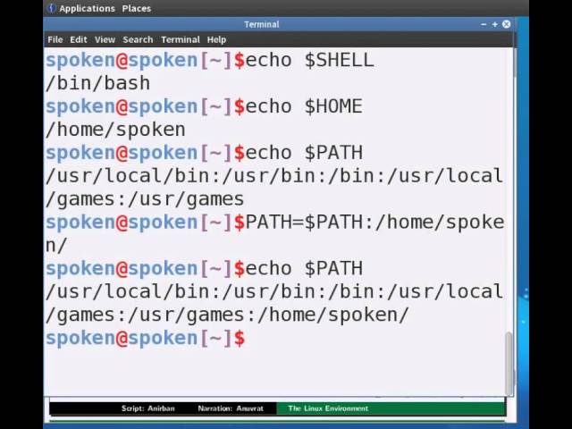 The Linux Environment - English