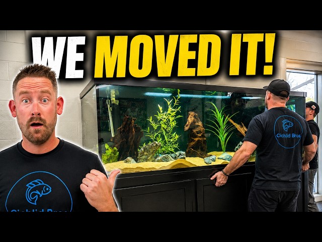 How to Move a Big Fish Tank (Full Aquarium Tear Down & Move)