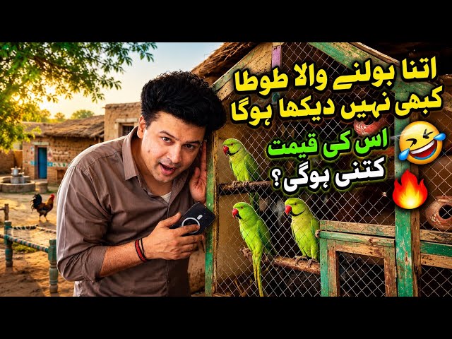  Parrot talking | funny parrot videos | funny parrot videos talking | Fareed Sabri vs parrot 