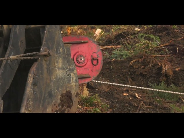 MVR Timber Cutting Year-End Film