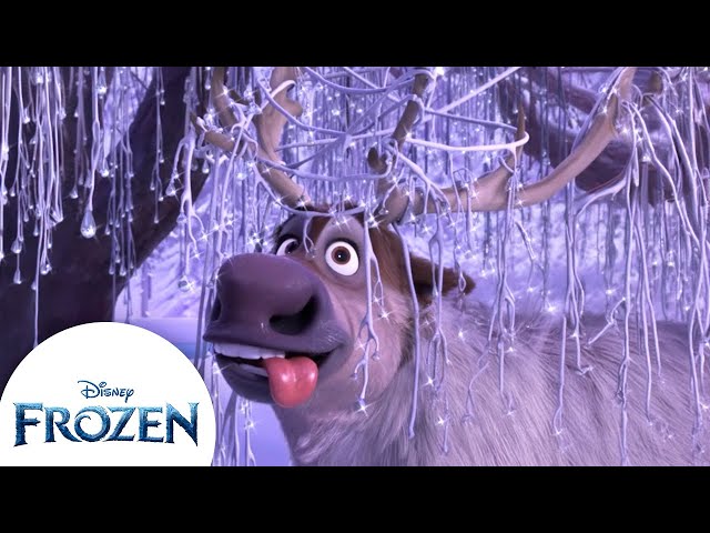 Sven's Silliest Moments | Frozen