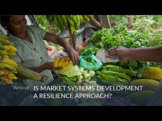 Webinar: Is Market Systems Development a Resilience Approach?