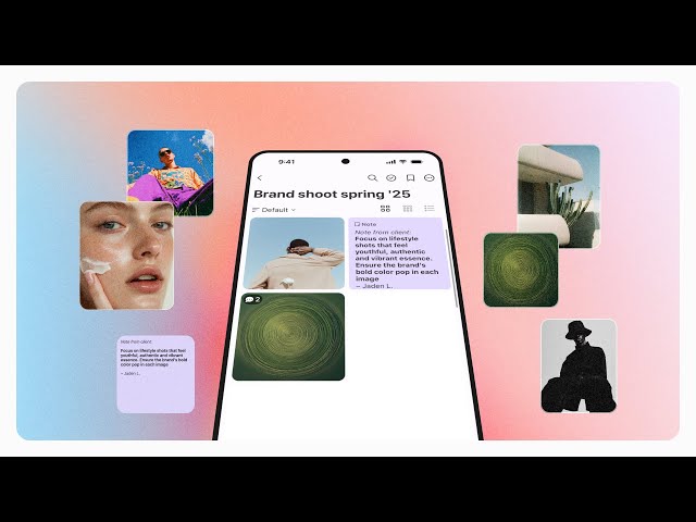 Meet the Playbook Mobile App! | Available on iOS & Android