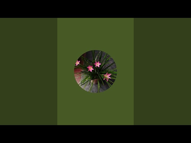 puzzle  Factory 1 is live