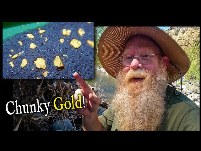 Prospector Finds Multiple Gold Pickers, in a Public Spot!