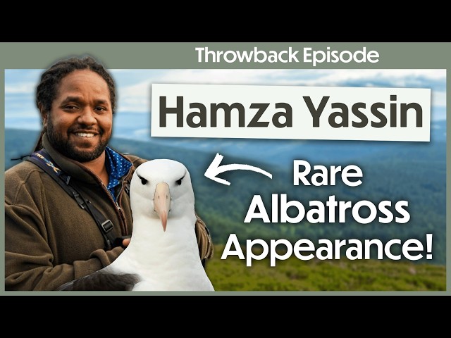 RSPB & Hamza Yassin Investigate Black-Browned Albatross Visit! | Get Birding Throwback Episode S2 E1