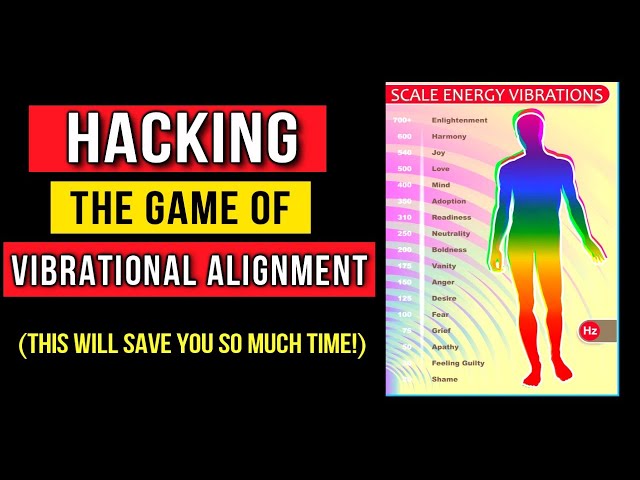 How I Raise My Vibration FAST & Get Into Alignment with My Manifestations! (Law of Attraction)