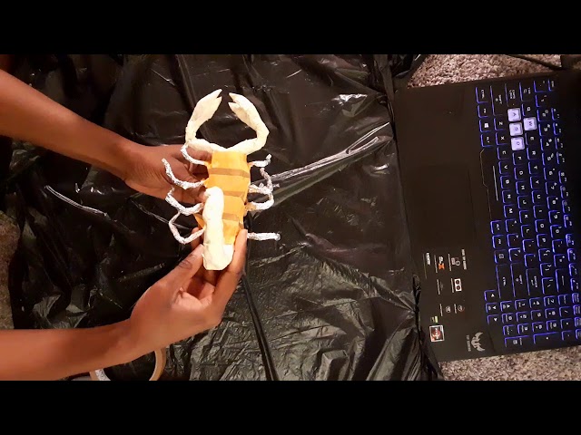 PaperBodi Tutorials:(SPEED) Scorpion