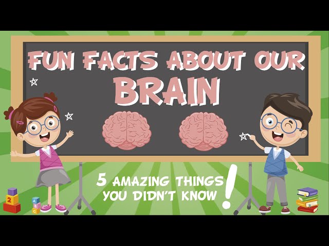 Our Brain: AMAZING FUN FACTS | Educational Videos For Kids