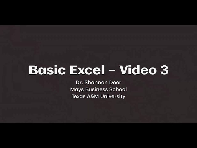 Mays MBA Prep Basic Excel Video 3