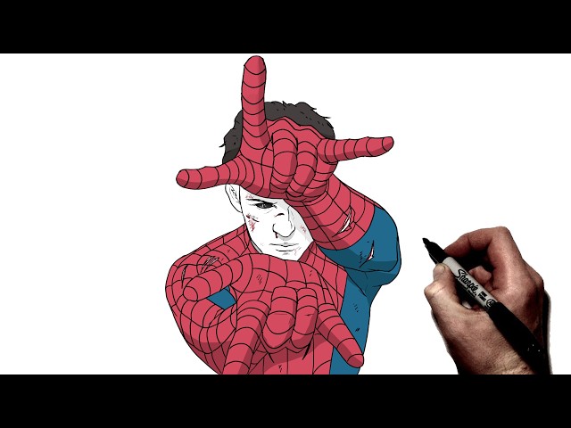 How To Draw Spider - Man | Step By Step | Brand New Day